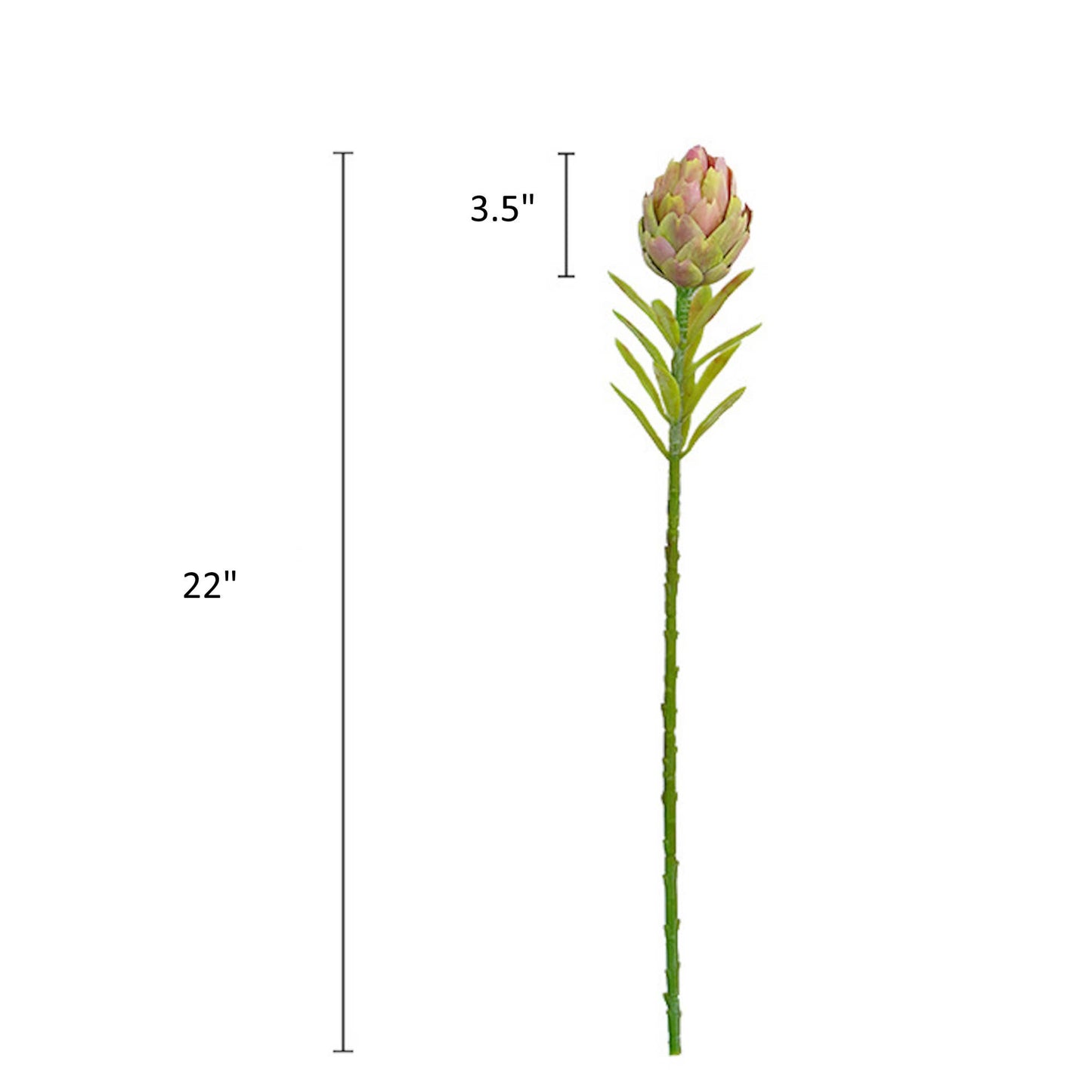 22"Artificial Artichoke Stem-3 colors