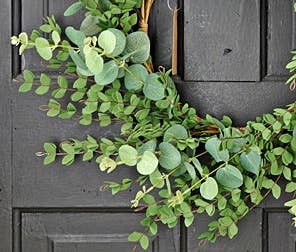 27390 - 24in Wreath-Mixed Eucalyptus-