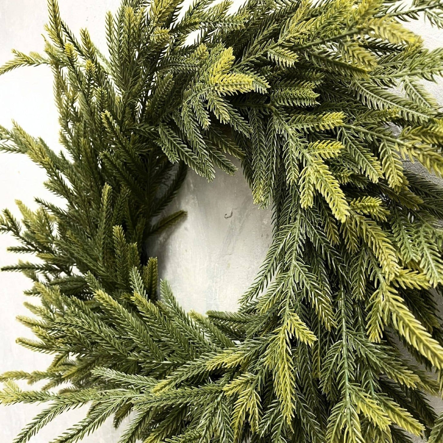 Soft Touch Norfolk Pine Wreath 24" Light Green
