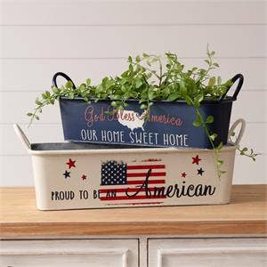 Narrow Trays - Americana (Set Of 02)