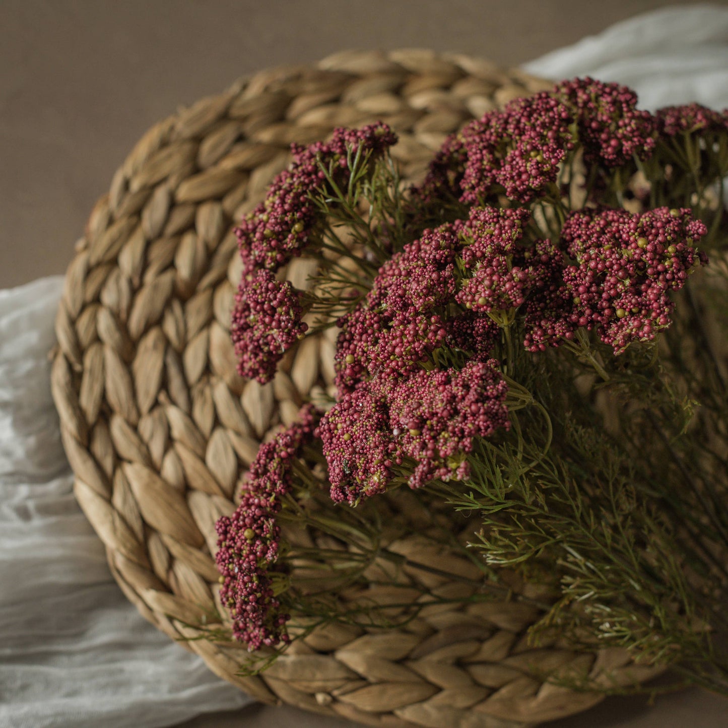 16" BURGUNDY QUEEN ANNE LACE BUSH
