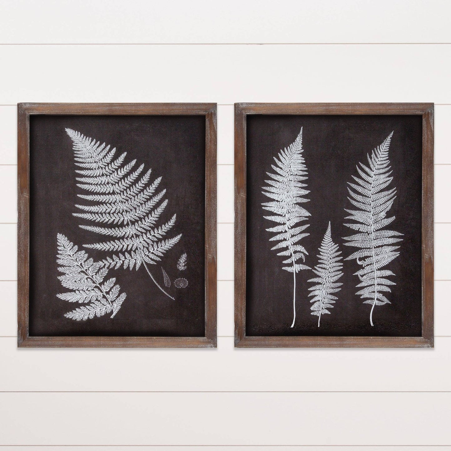 Framed Prints - Birds with Names (Pk/04 Ast)