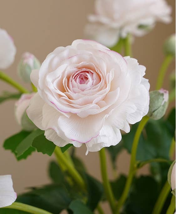 18"-Real Touch Ranunculus with 2 buds