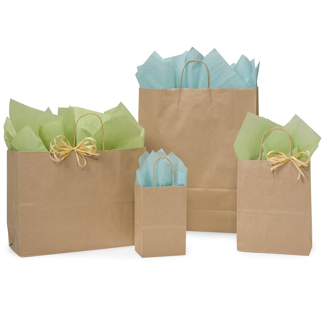 Recycled Brown Kraft Paper Shopping Bags