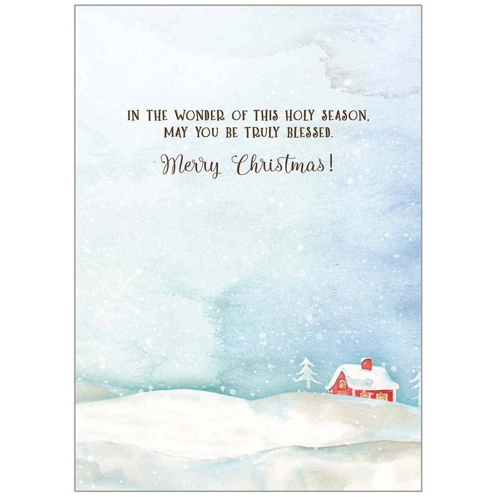 Birds on Snowy Branch Faith Holiday Cards in a Box