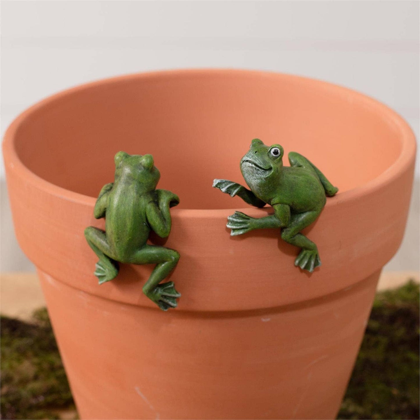 Pot Huggers - Frogs (Pk/09 Ast)