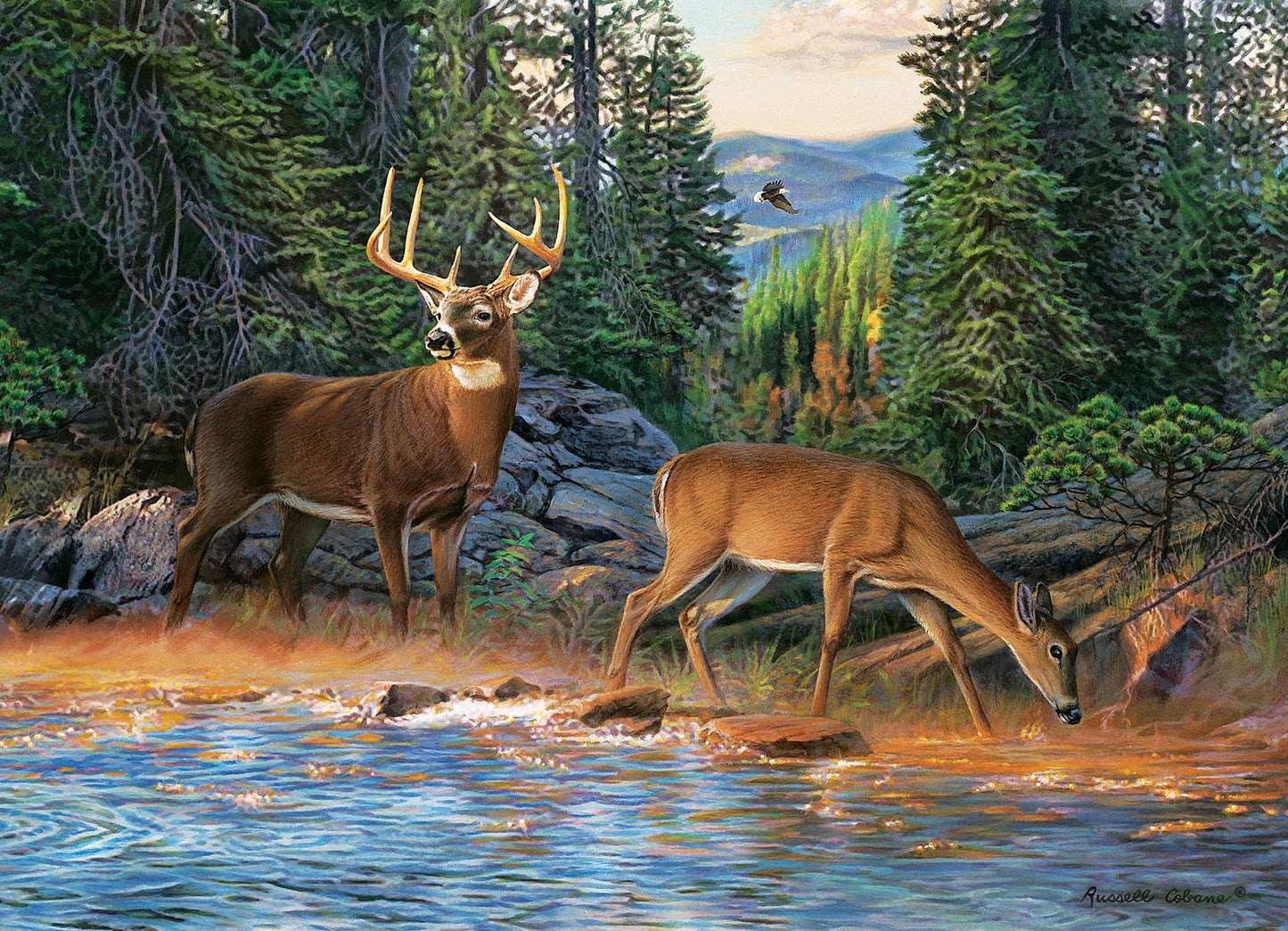 The River's Edge 1000pc puzzle