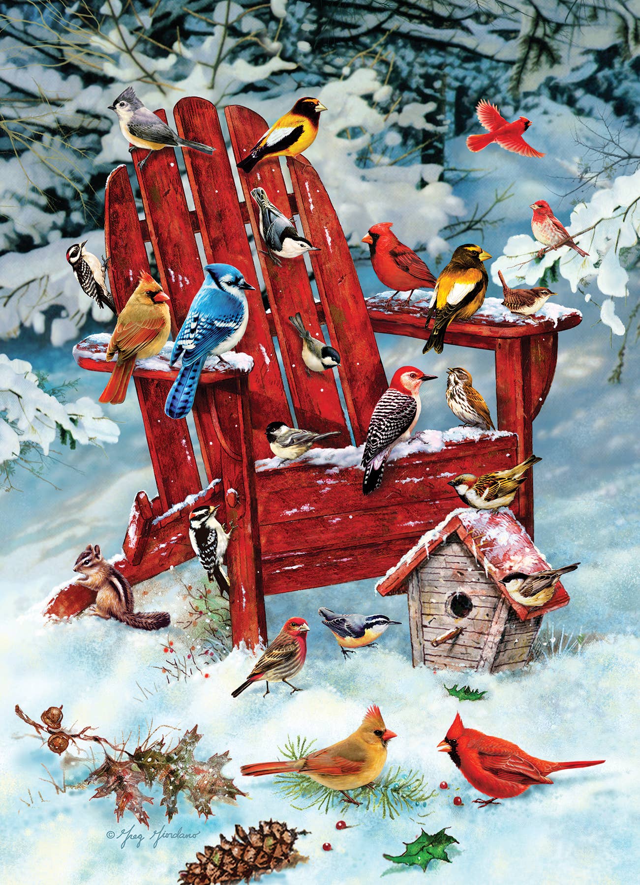 Adirondack Birds 1000pc puzzle