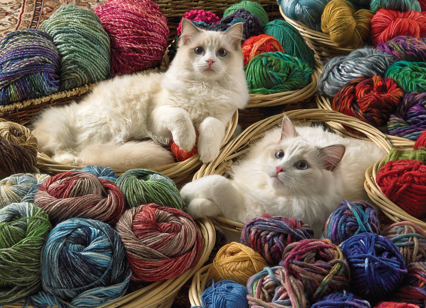 Ragdolls 1000pc puzzle