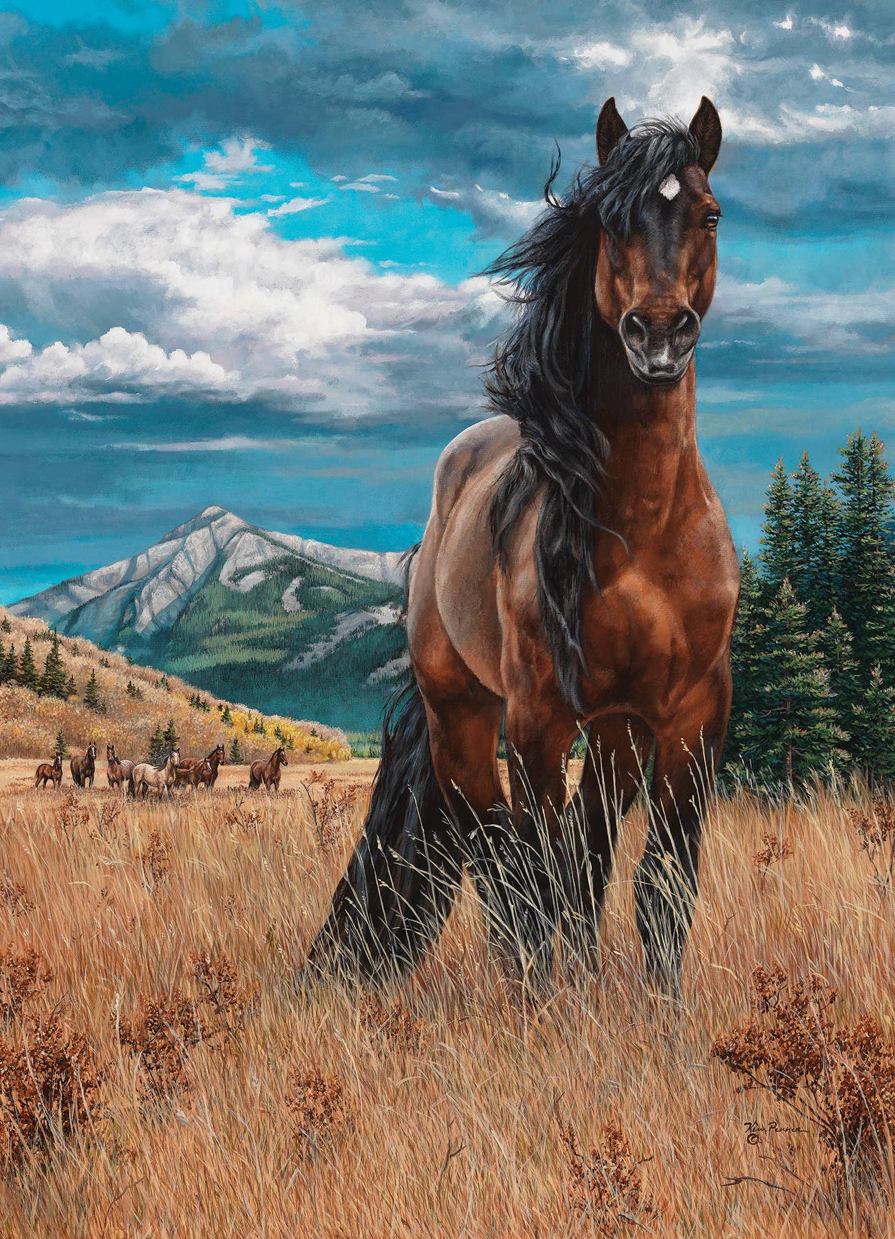 Freedom 1000pc puzzle