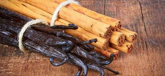 Cinnamon and Vanilla Infused Pure Maple Syrup - 8.4oz