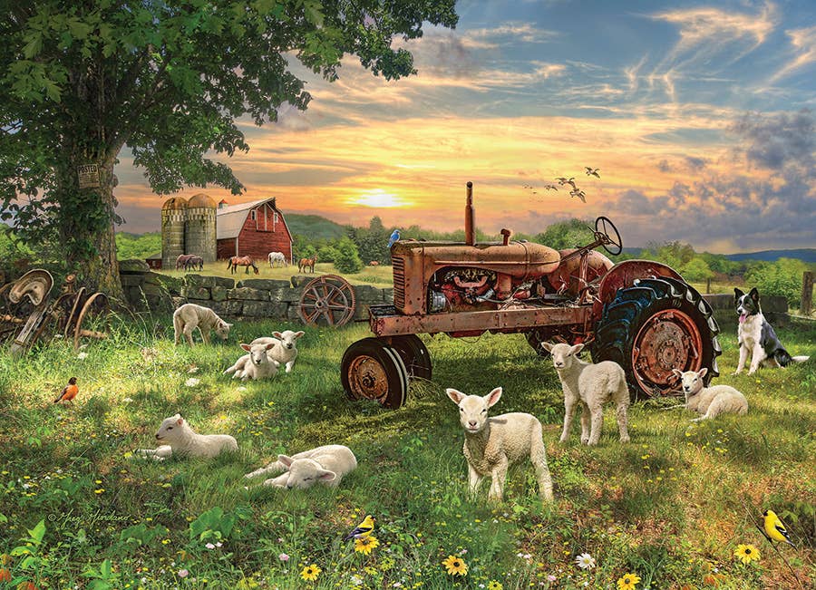 Field at Sunrise 1000pc Puzzle