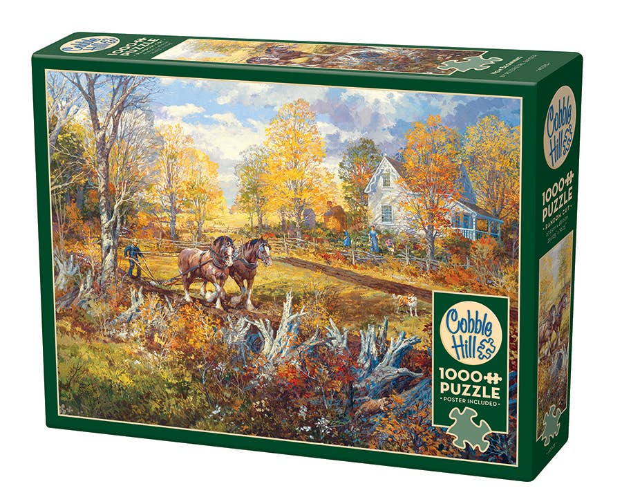 New Beginning 1000pc puzzle