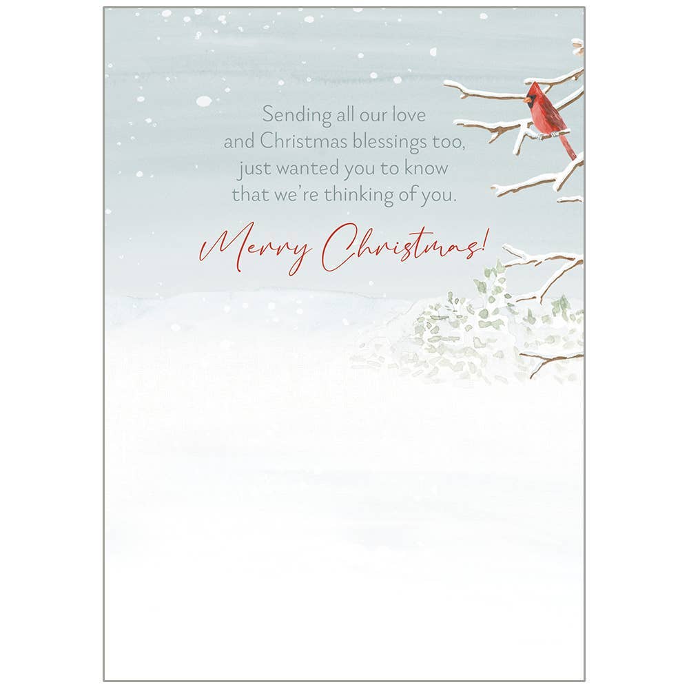 Snowman By Birdhouse Faith Holiday Cards in a Box