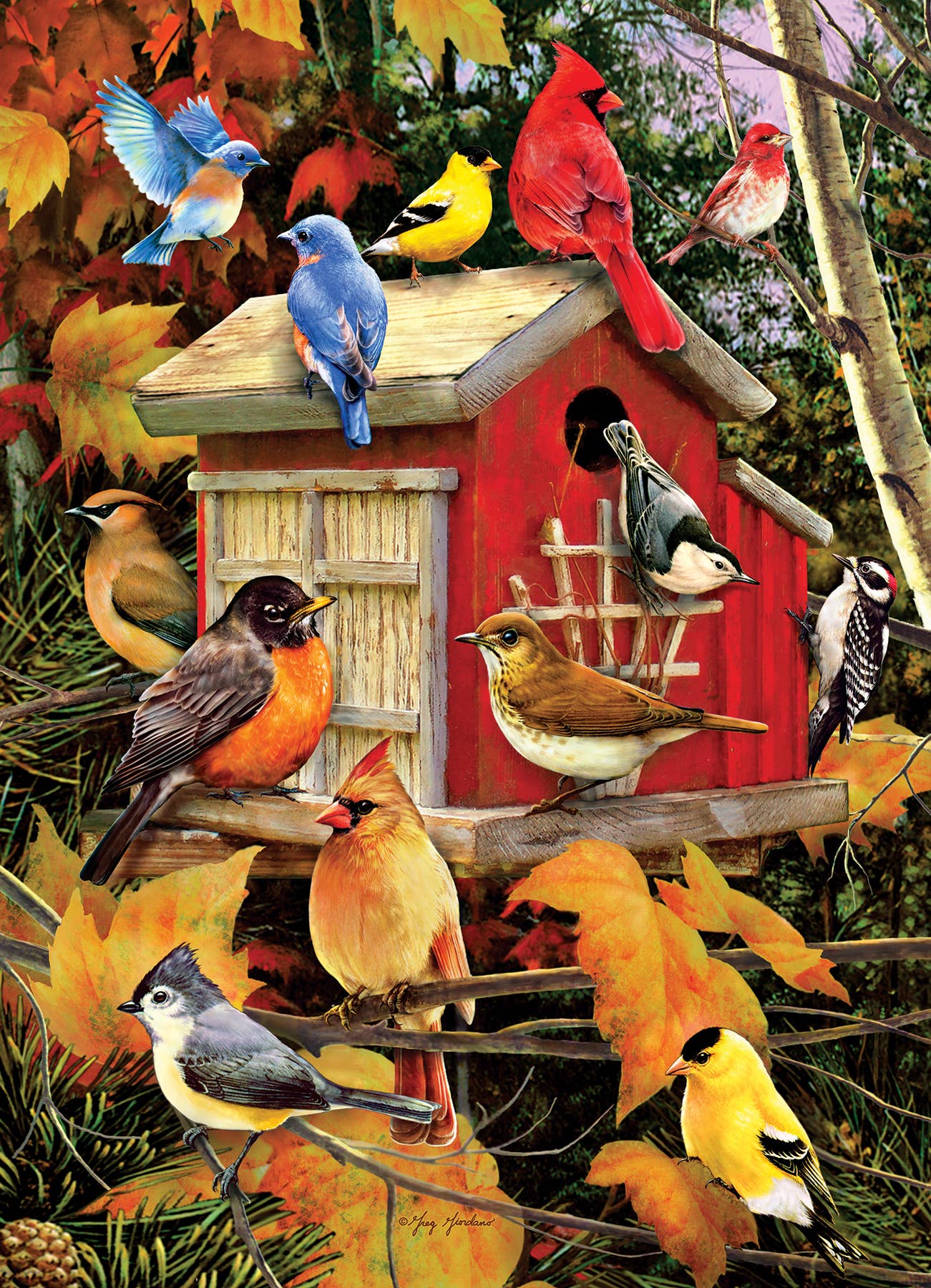 Fall Birdhouse 500-Piece Cobble Hill Puzzle