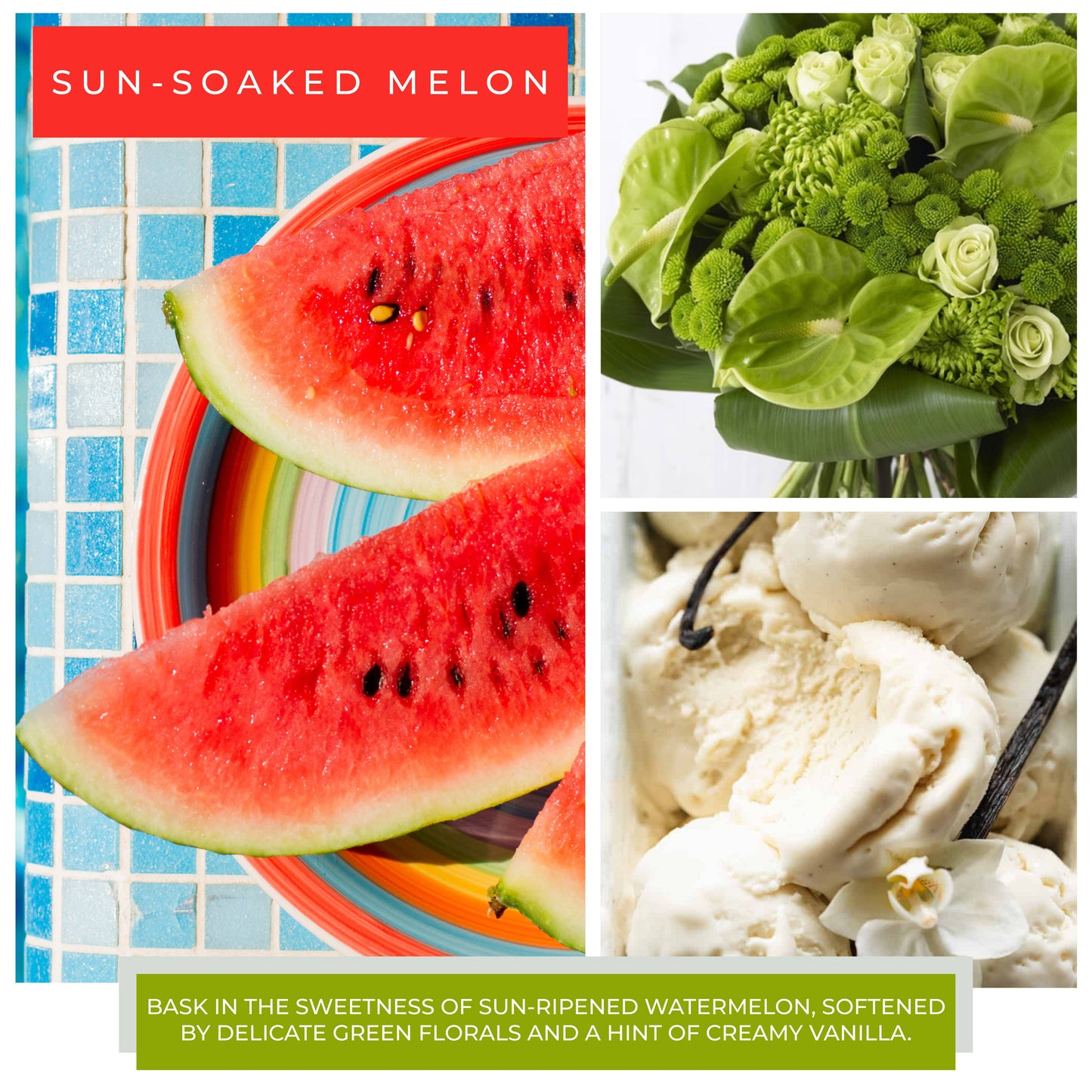 KOTL Papa Candle (34oz.) – Sun-Soaked Melon