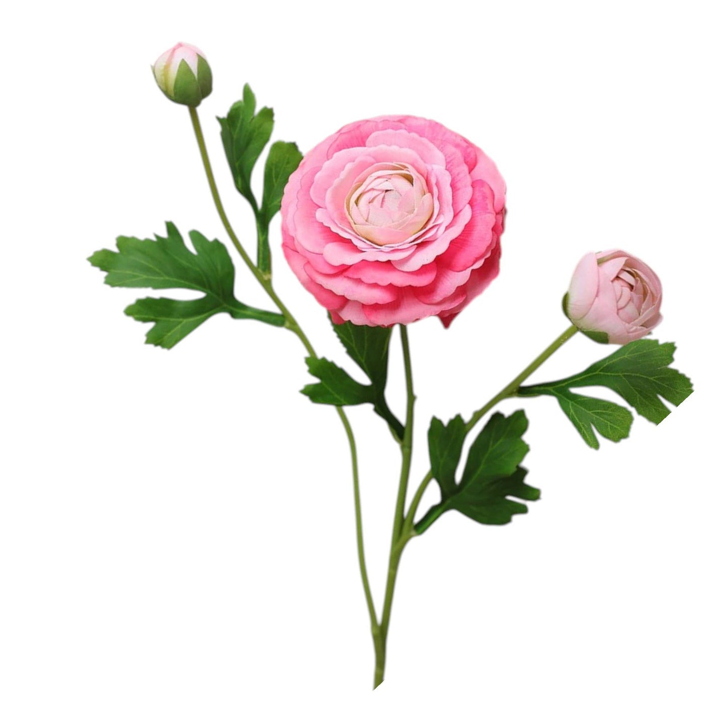 18"-Real Touch Ranunculus with 2 buds