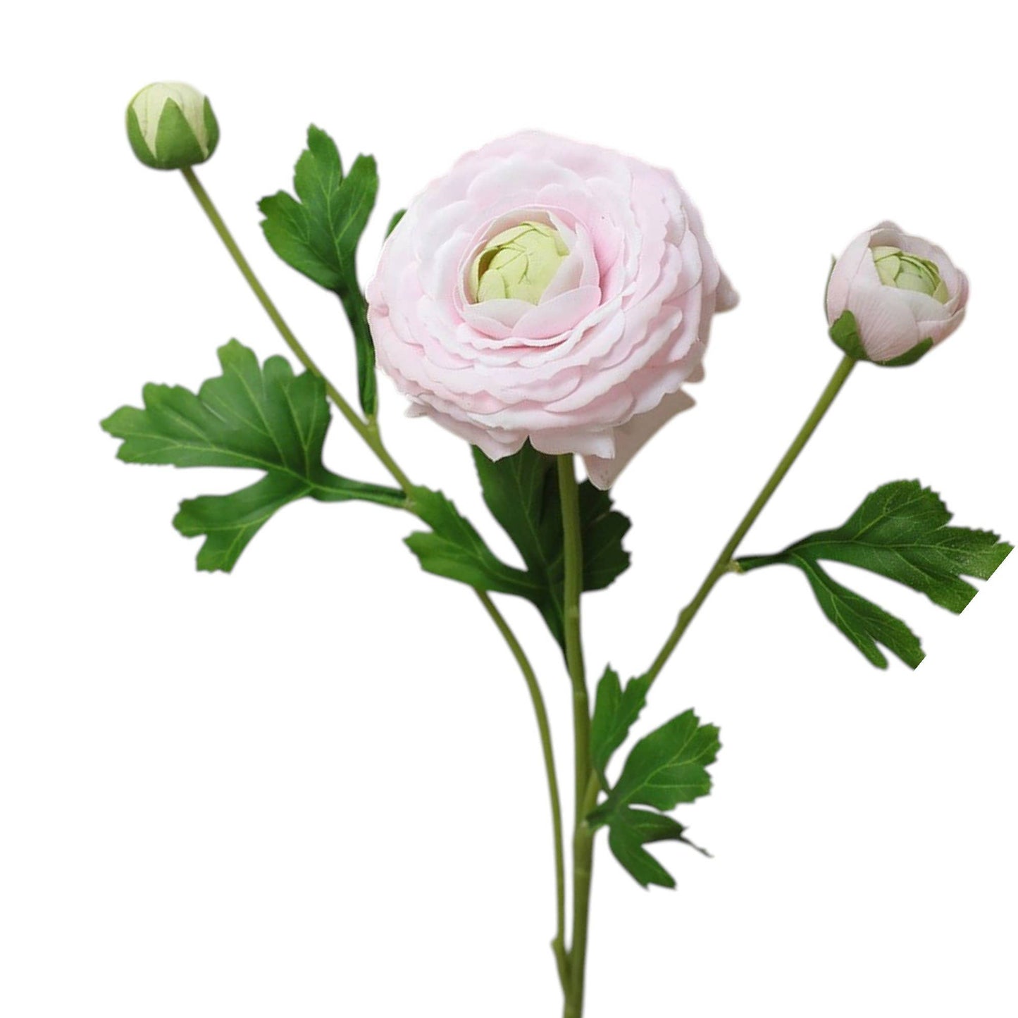 18"-Real Touch Ranunculus with 2 buds