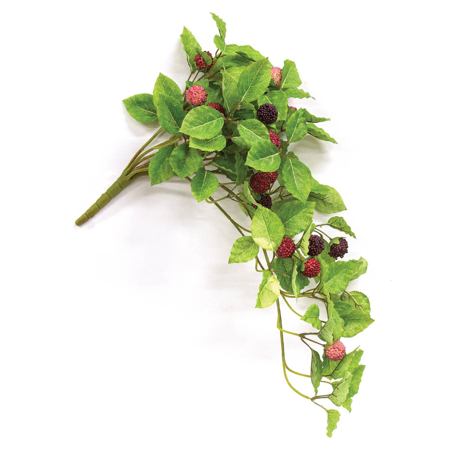Fresh Raspberries Hanging Bush - 22"