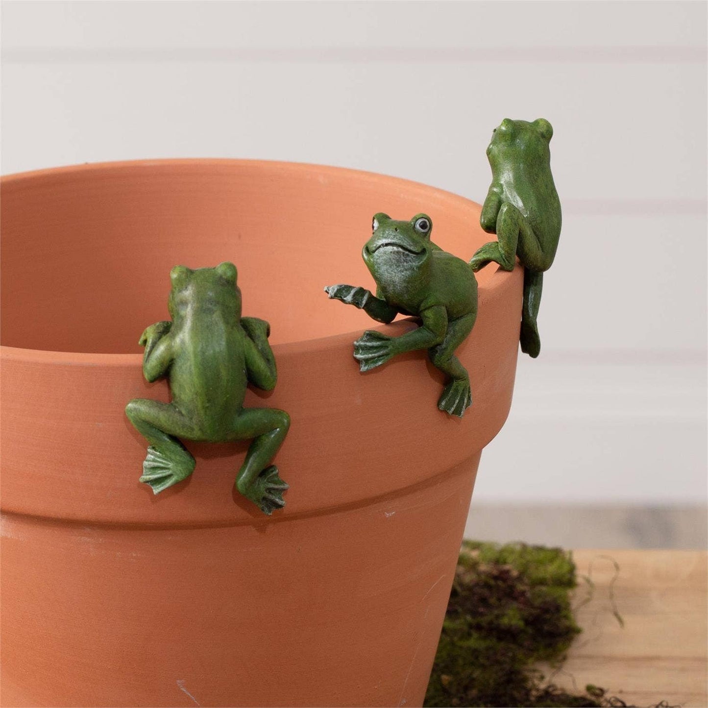 Pot Huggers - Frogs (Pk/09 Ast)