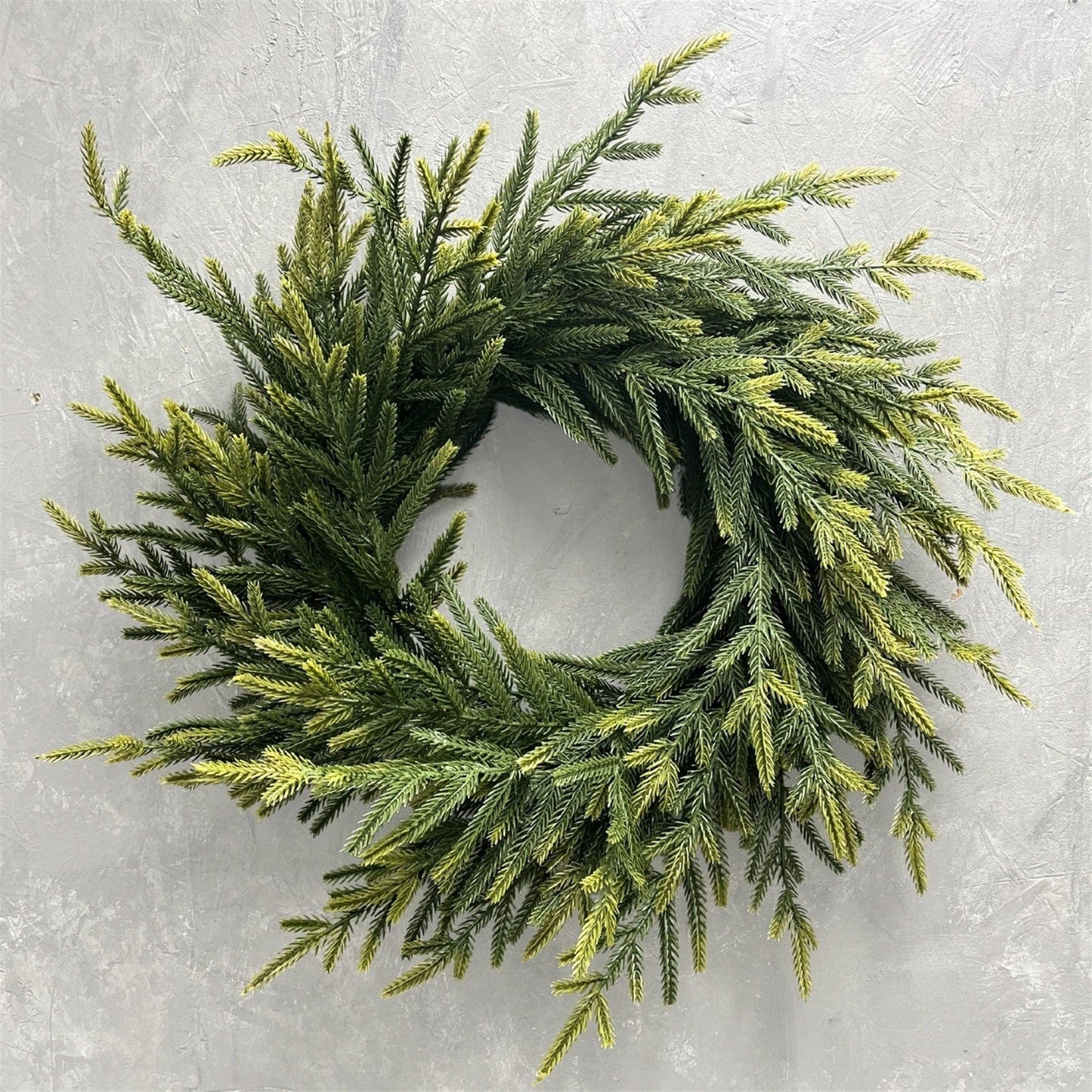 Soft Touch Norfolk Pine Wreath 24" Light Green