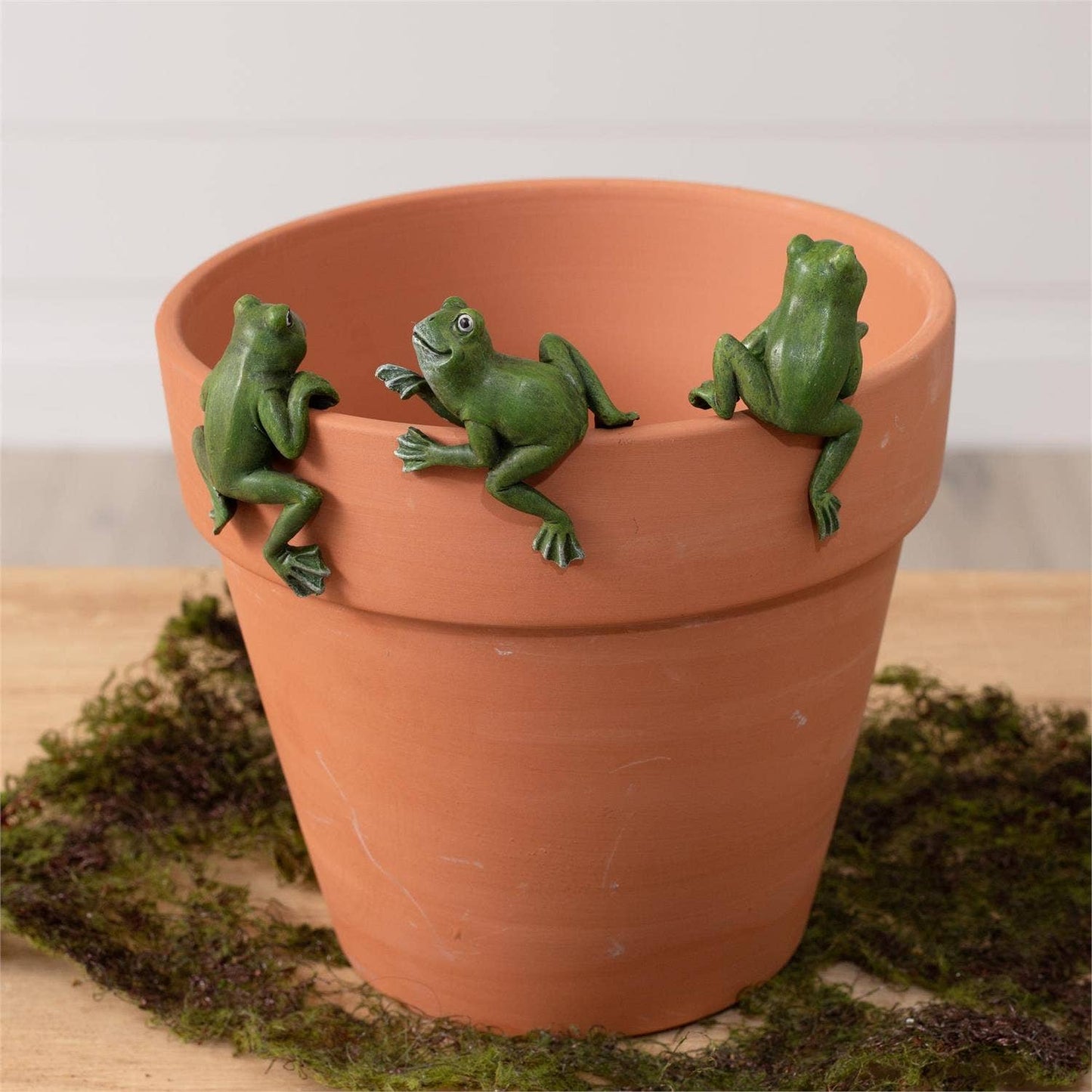 Pot Huggers - Frogs (Pk/09 Ast)