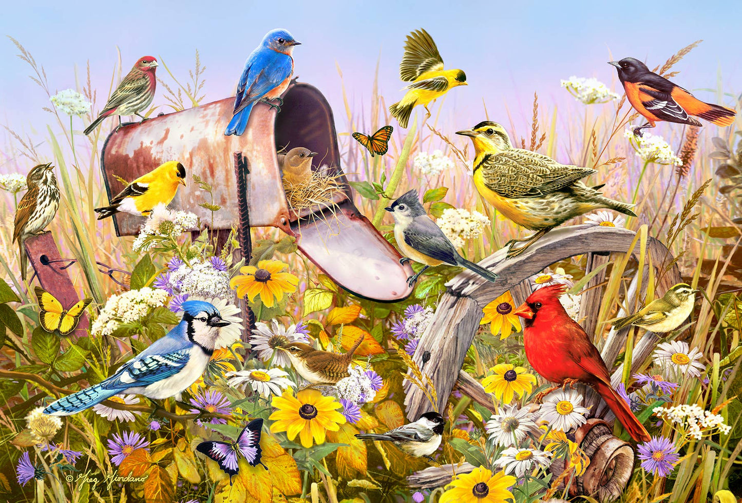 Field Song 2000pc puzzle