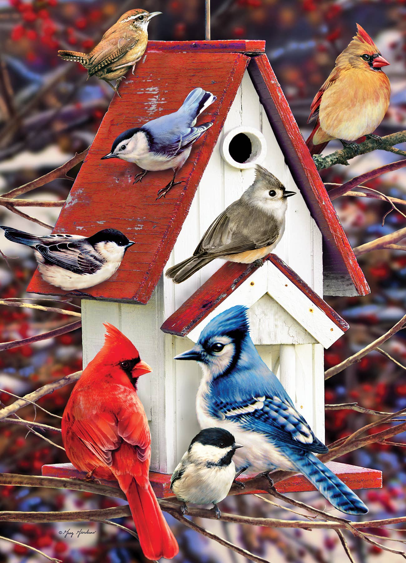 Winter Birdhouse 500pc puzzle
