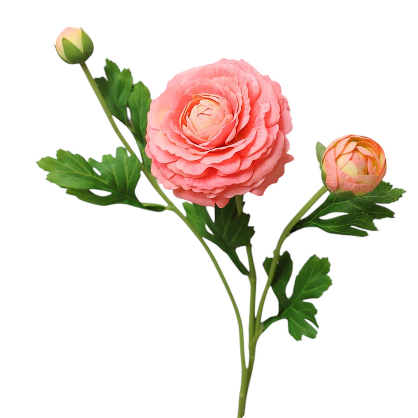 18"-Real Touch Ranunculus with 2 buds