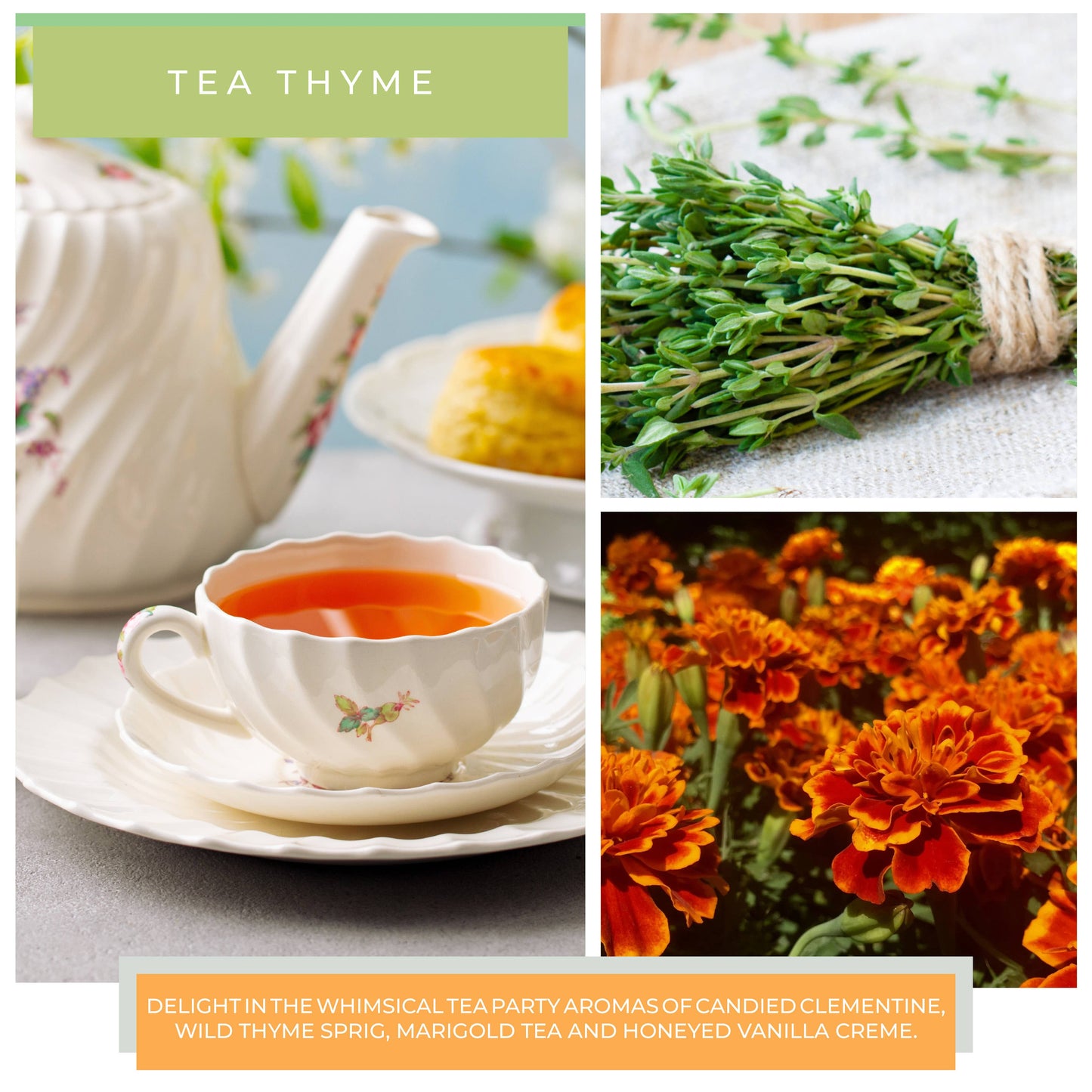 KOTL Papa Candle (34oz.) – Tea Thyme