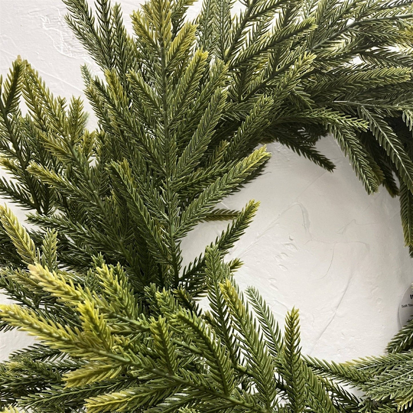Soft Touch Norfolk Pine Wreath 24" Light Green