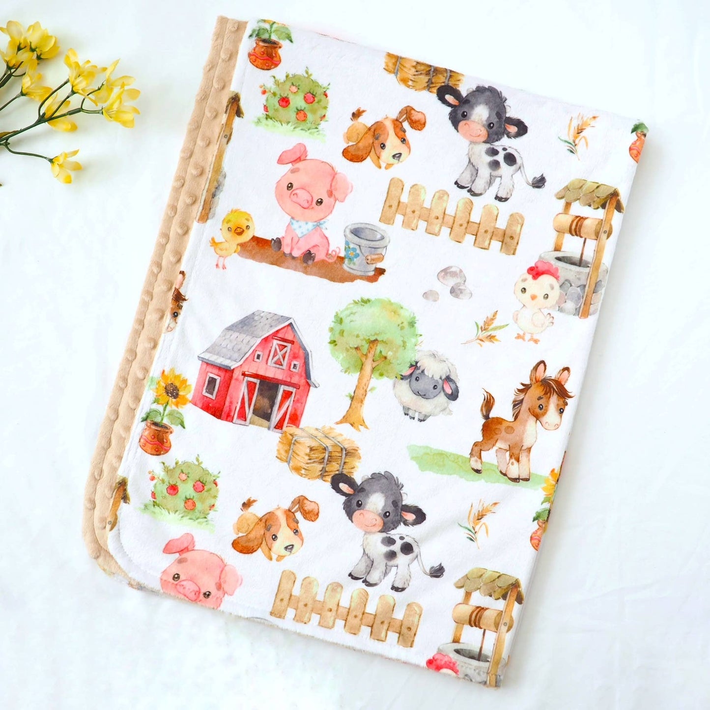 Starter Success 5 Blanket Pack