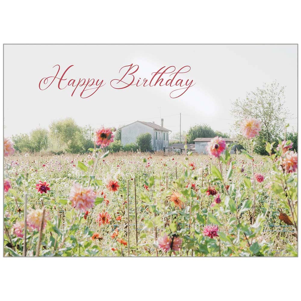 Summer Daisy Field - Faith Birthday Card