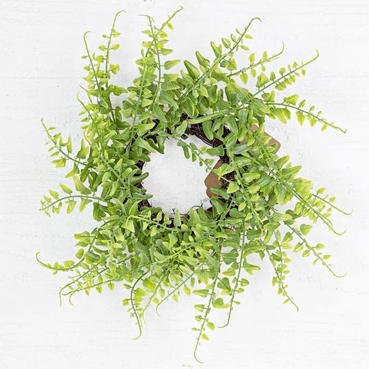 29032 - 12in(3in) Green Fern Twig Wreath-6/60pcs