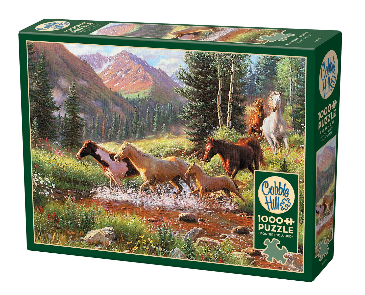 Mountain Thunder 1000pc puzzle