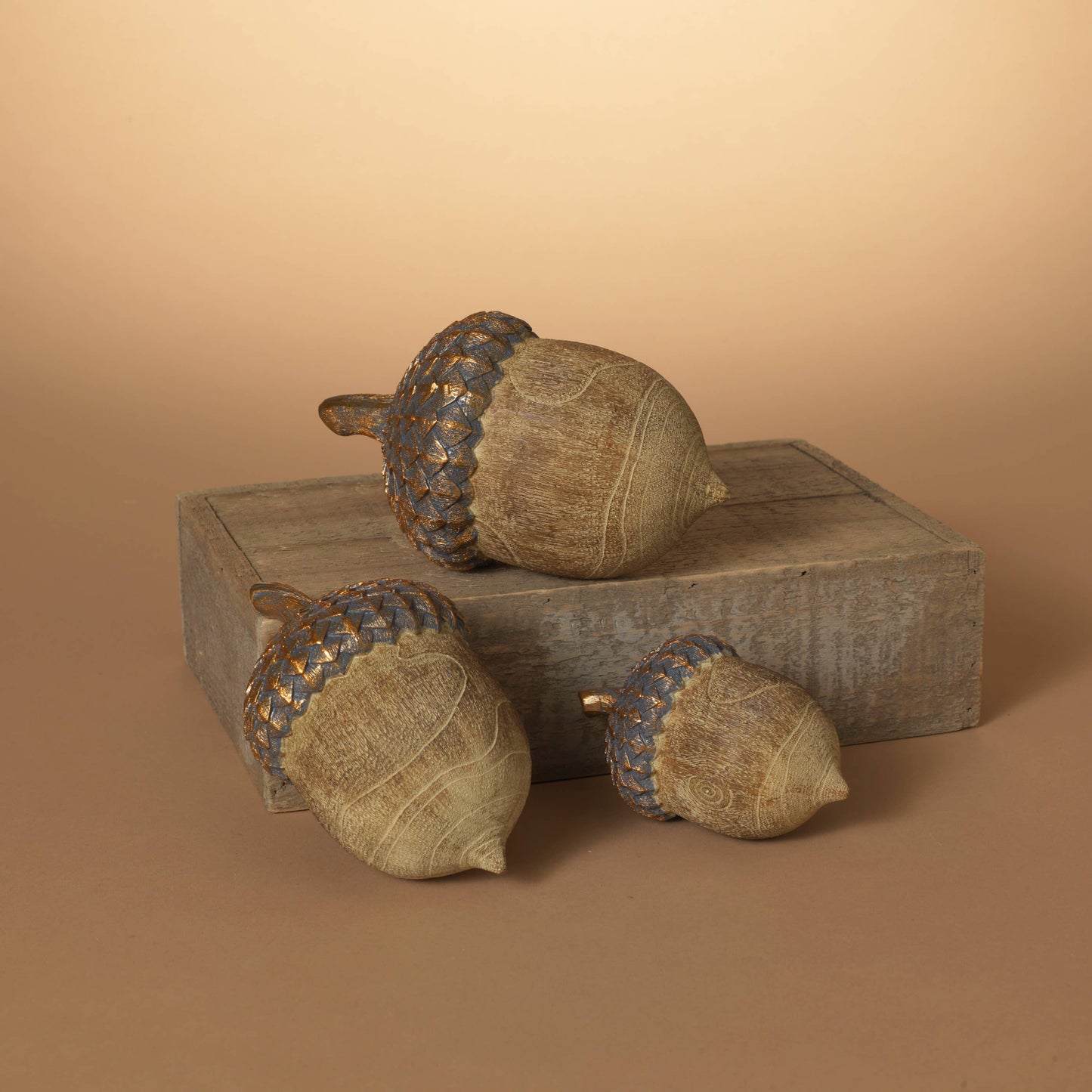 S/3 Resin Harvest Acorns, Lg i