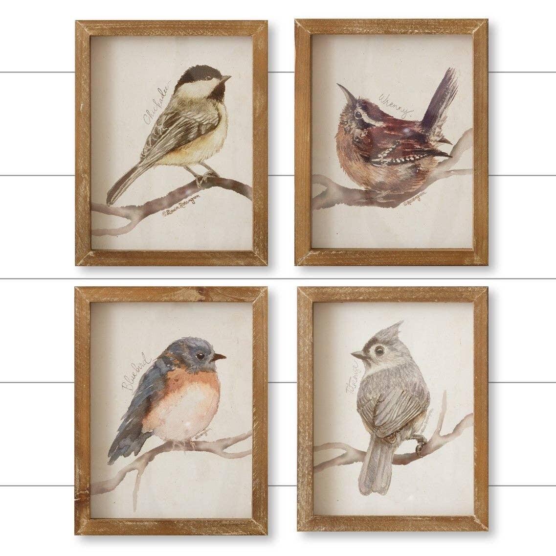 Framed Prints - Birds with Names (Pk/04 Ast)