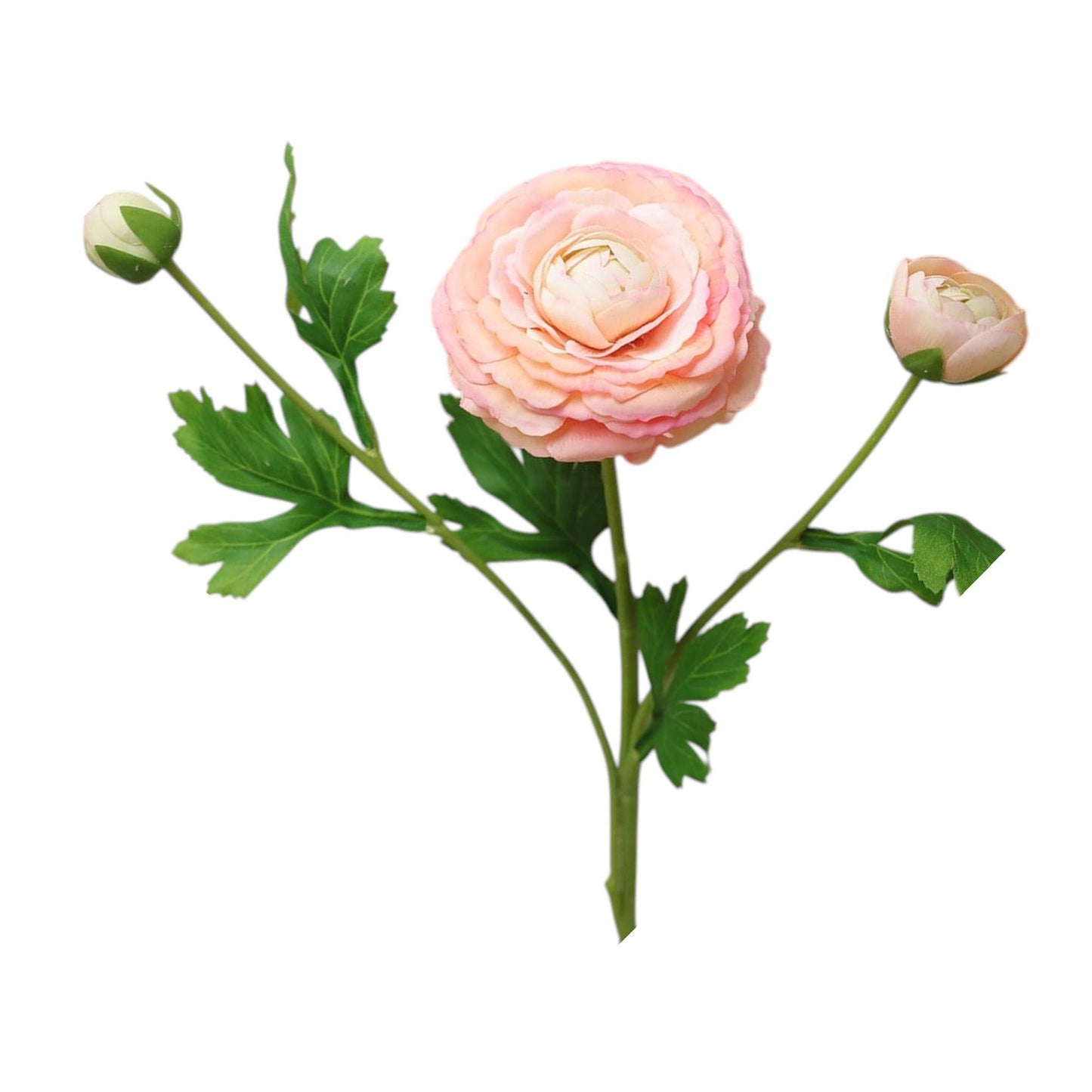 18"-Real Touch Ranunculus with 2 buds