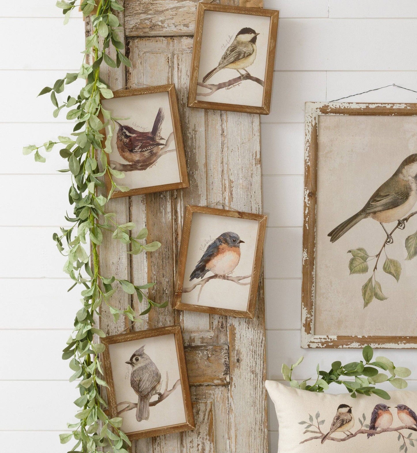 Framed Prints - Birds with Names (Pk/04 Ast)