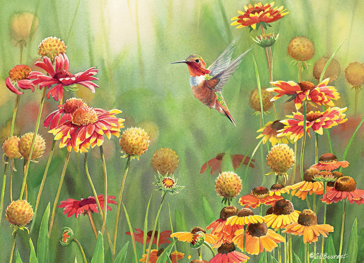 Rufous Hummingbird 500pc puzzle
