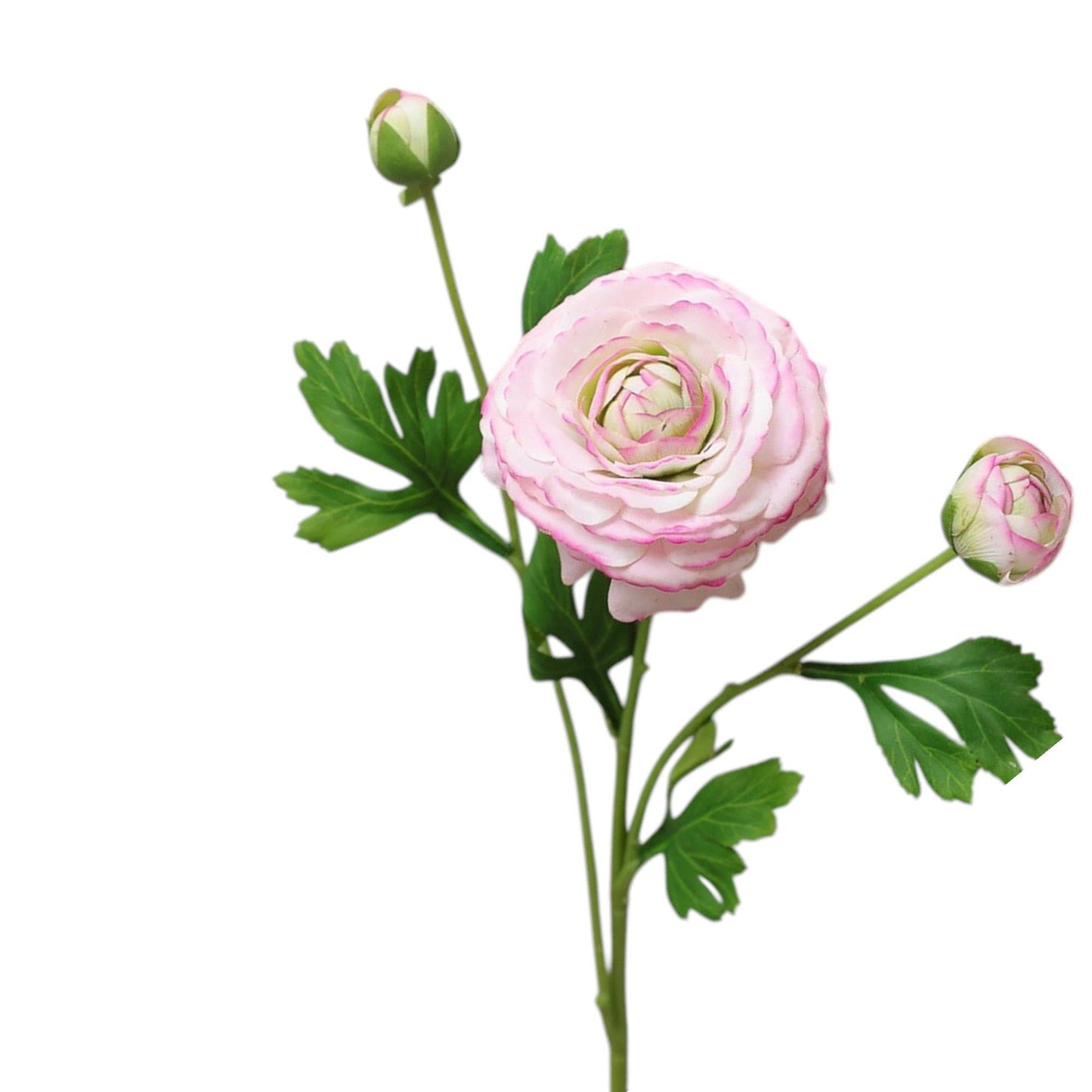 18"-Real Touch Ranunculus with 2 buds