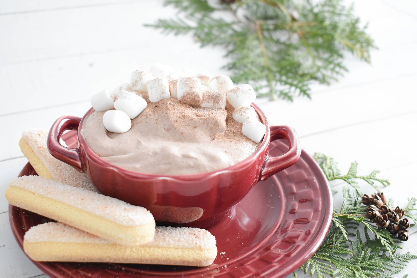 Hot Cocoa Dip Mix