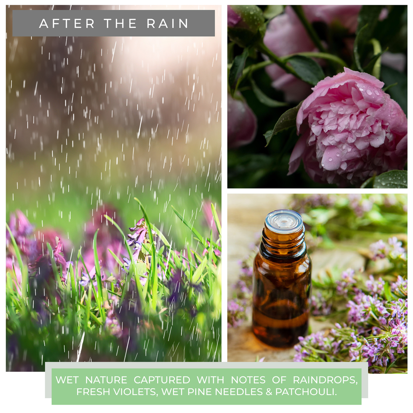 KOTL Papa Candle (34oz.) - After The Rain