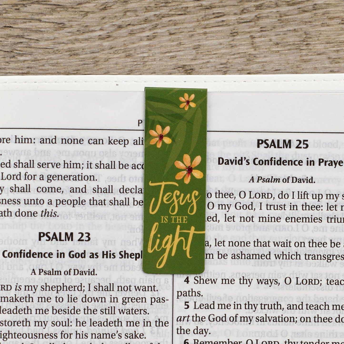 Magnetic Bookmark Set God is my Refuge