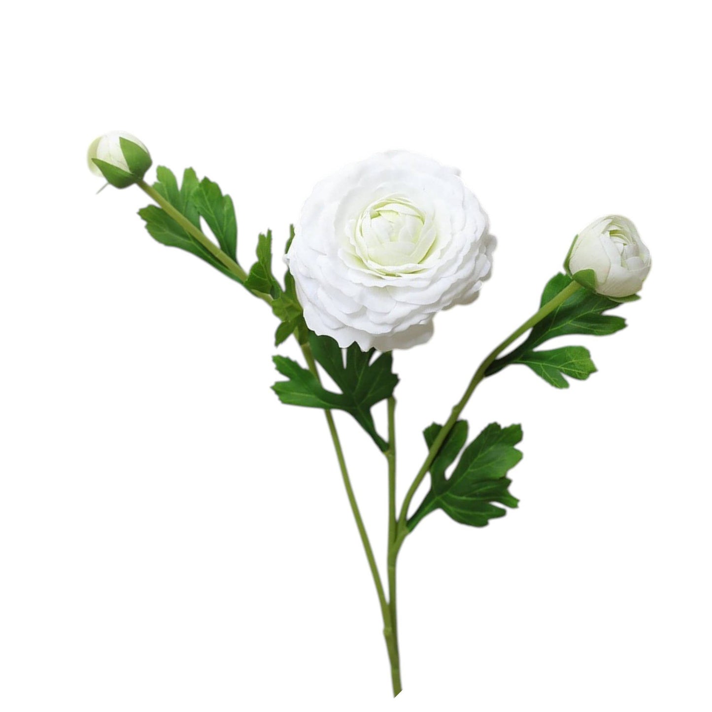 18"-Real Touch Ranunculus with 2 buds