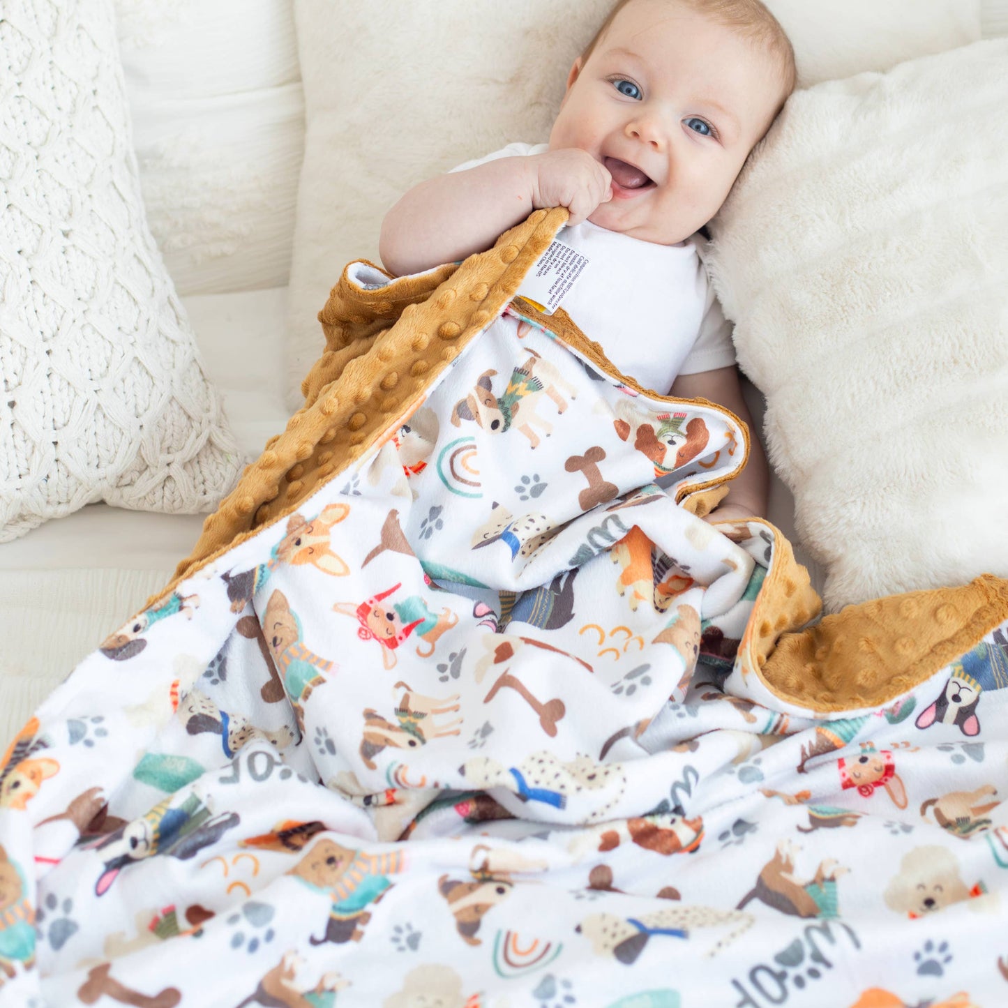 Starter Success 5 Blanket Pack