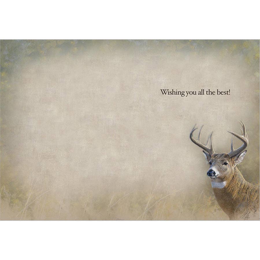 Whitetail Portrait - Birthday Card