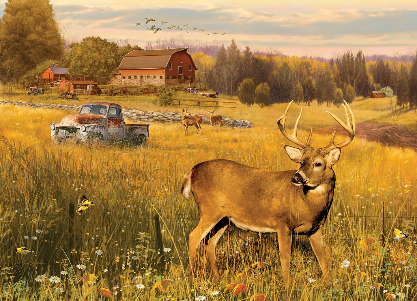 Deer Field 500pc puzzle